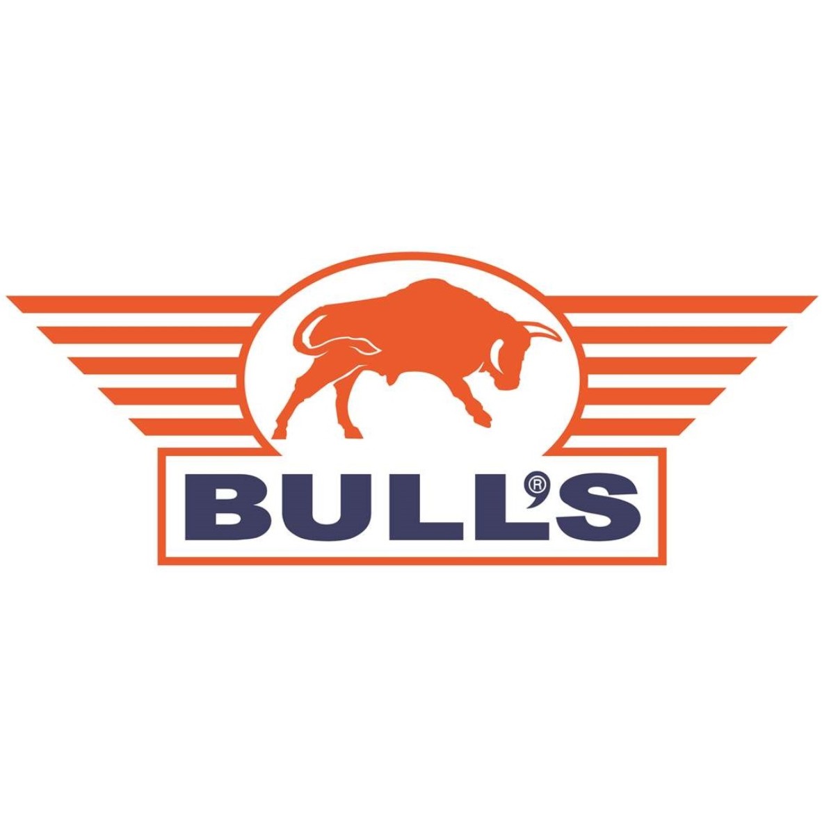 Bull's Darts